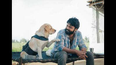 The new Kannada release 777 Charlie, a heart-rending tale of a man bettered by his dog, is let down by its runtime of 2 hours and 45 minutes. The new Kannada release 777 Charlie, a heart-rending tale of a man bettered by his dog, is let down by its runtime of 2 hours and 45 minutes.