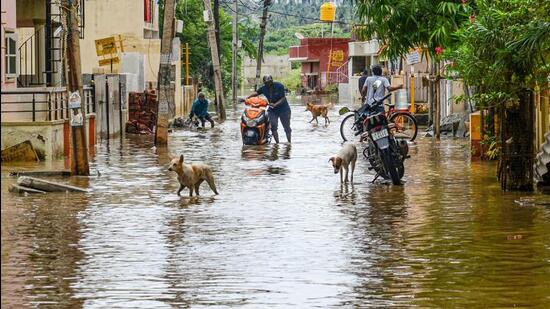 Eine durchnässte Straße nach starkem Regen über Nacht in Bengaluru am Samstag.  (PTI)