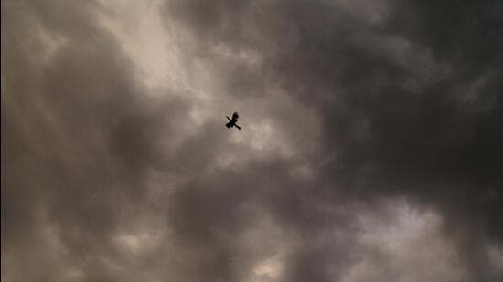 Gray clouds covered the sky through the day in Chandigarh on Saturday. (Sanjeev Sharma/HT)