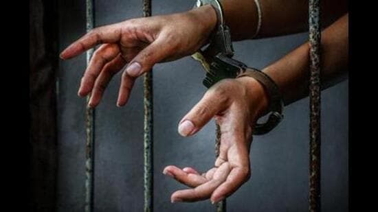 Dera Bassi DSP Gurbakshish Singh said they had sought the woman’s police custody and will be interrogating her to ascertain the source and destination of the consignment. (Getty Images/iStockphoto)