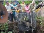 A screengrab of the video of a leopard being rescued from an open well in Maharashtra. (@susantananda3/Instagram) A screengrab of the video of a leopard being rescued from an open well in Maharashtra. (@susantananda3/Instagram)