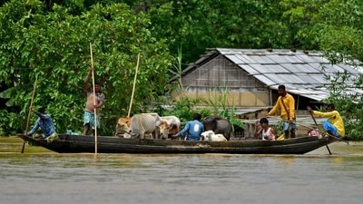 Flood-affected people ferry their cattle to safer places through a flooded field after heavy rainfall in Nagaon district, in the northeastern state of Assam&nbsp; (REUTERS)
