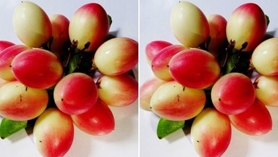Improves digestion: The fruits contain pectin which makes it beneficial for digestive system. (Pinterest) Improves digestion: The fruits contain pectin which makes it beneficial for digestive system. (Pinterest)