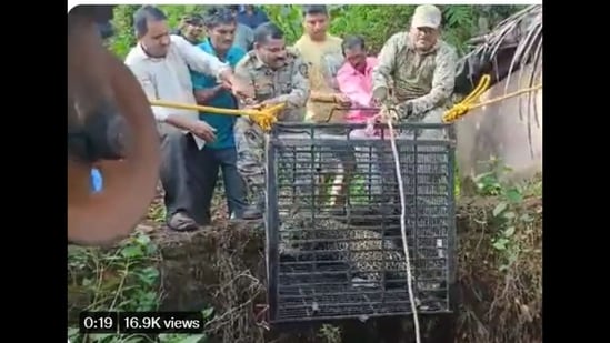A screengrab of the video of a leopard being rescued from an open well in Maharashtra.&nbsp;(@susantananda3/Instagram)