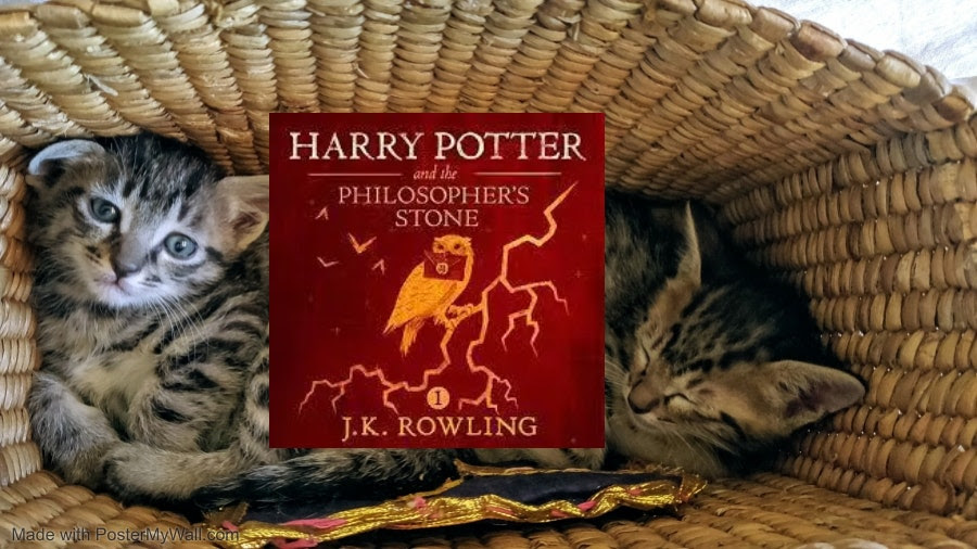 Harry Potter and the Philosopher's Stone. Harry Potter and the Philosopher's Stone. 