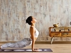 The two primary components of yoga practice are how to add adaptability to the body and how to achieve serenity of mind. The two primary components of yoga practice are how to add adaptability to the body and how to achieve serenity of mind.