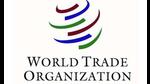 The 12th Ministerial Conference of the World Trade Organization (WTO), or MC12, raised questions about the ability of its members to arrive at decisions. (file photo) The 12th Ministerial Conference of the World Trade Organization (WTO), or MC12, raised questions about the ability of its members to arrive at decisions. (file photo)