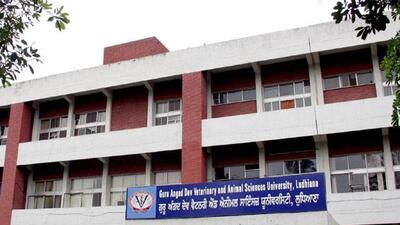 A collaboration was mulled over during Assam’s fisheries department delegation visit to GADVASU, Ludhiana. (HT File)