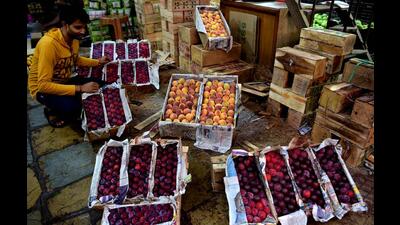 Fruits like plums and peaches have become costlier this year at APMC market in Vashi. In general, the prices of fruits and vegetables have increased by 20%. (BACHCHAN KUMAR/HT PHOTO) Fruits like plums and peaches have become costlier this year at APMC market in Vashi. In general, the prices of fruits and vegetables have increased by 20%. (BACHCHAN KUMAR/HT PHOTO)