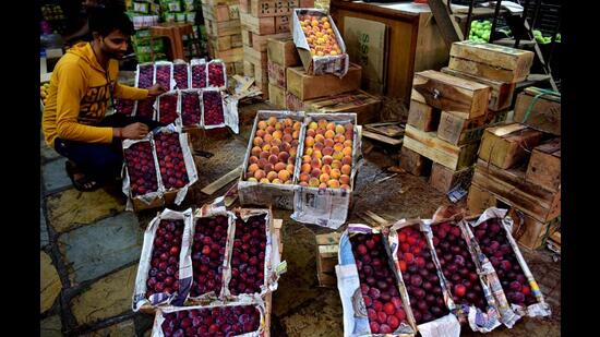 Fruits, vegetables dearer by 20% at Vashi APMC market | Mumbai news ...