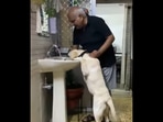 Grandpa helps the dog drink water. 