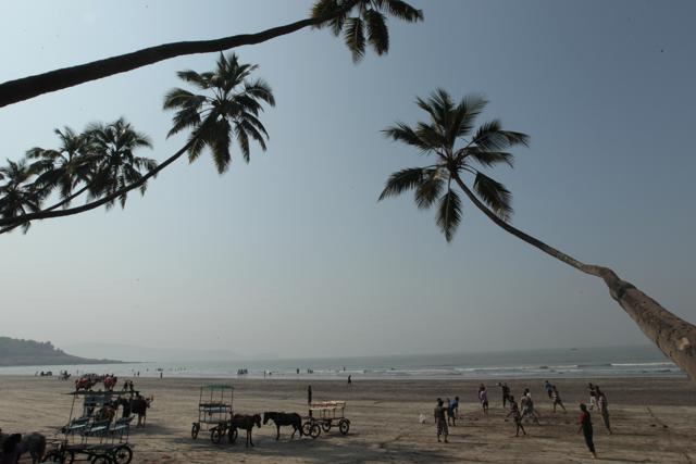 Murud Beach (Vidya Subramanian / Hindustan Times)