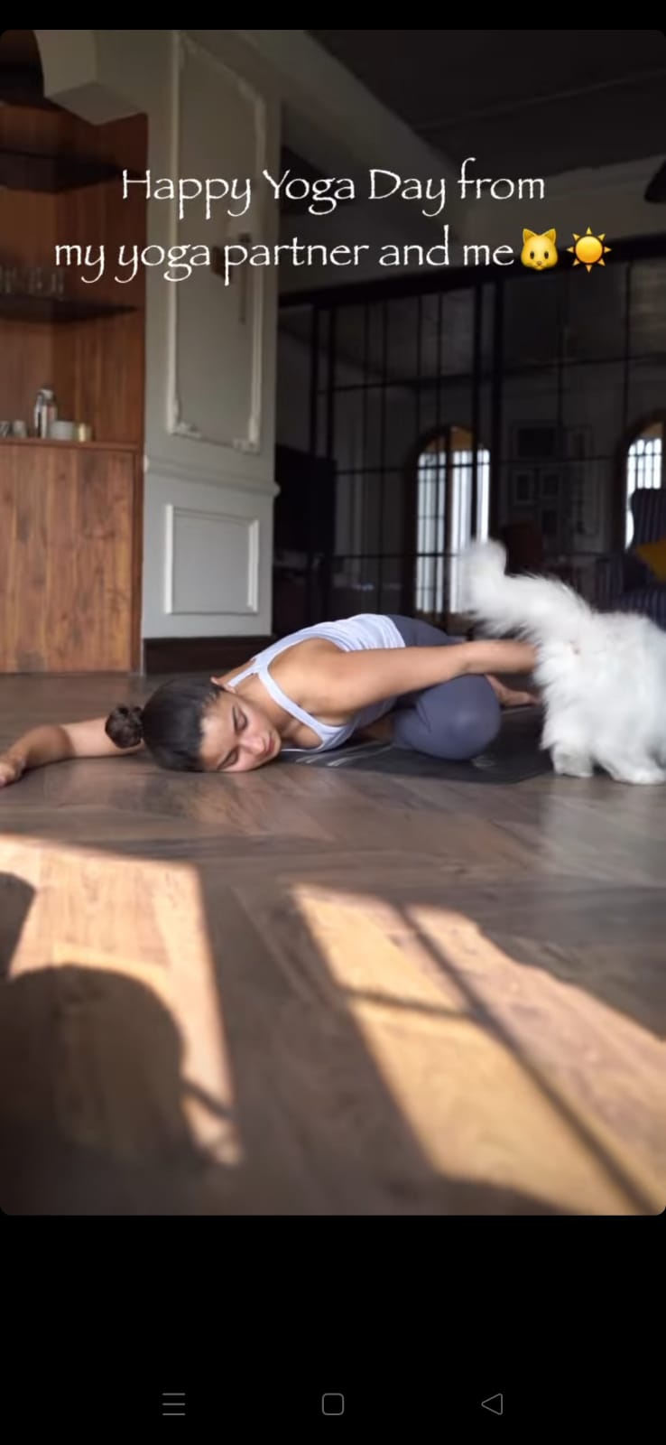 Alia Bhatt posted a video of her doing yoga, and getting distracted by her cat Edward. Alia Bhatt posted a video of her doing yoga, and getting distracted by her cat Edward.