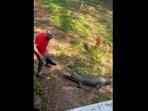 The Australian pub owner scared away a crocodile with a frying pan. (@airbornesolutions/Facebook) The Australian pub owner scared away a crocodile with a frying pan. (@airbornesolutions/Facebook)