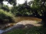 Asola Bhatti Wildlife Sanctuary (Sanjeev Verma/HT PHOTO) Asola Bhatti Wildlife Sanctuary (Sanjeev Verma/HT PHOTO)