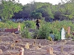 Jadid Qabristan Ahle Islam, at ITO in New Delhi, served as a designated burial ground for those who died due to Covid-19. (Photo by Sanjeev Verma/ Hindustan Times)