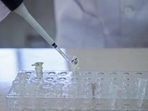 Over 40 % posts in forensic laboratories are vacant, the Centre informed the Supreme Court on Thursday.(AFP File Photo) Over 40 % posts in forensic laboratories are vacant, the Centre informed the Supreme Court on Thursday.(AFP File Photo)
