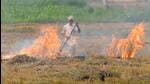 Paddy stubble burning has emerged as a major environmental issue in Punjab and its neighbouring states. (HT File Photo) Paddy stubble burning has emerged as a major environmental issue in Punjab and its neighbouring states. (HT File Photo)