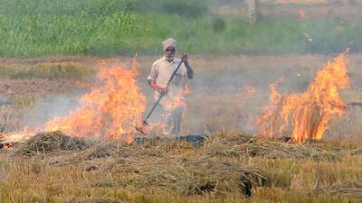 Paddy stubble burning has emerged as a major environmental issue in Punjab and its neighbouring states. (HT File Photo) Paddy stubble burning has emerged as a major environmental issue in Punjab and its neighbouring states. (HT File Photo)