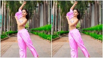 Styled by fashion stylist Ashna Makhijani Shah, Rubina wore her tresses into a clean ponytail as she posed for the outdoor photoshoot. (Instagram/@rubinadilaik)
