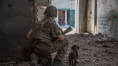 A Ukrainian service member with a dog observes in the industrial area of the city of Sievierodonetsk, as Russia's attack on Ukraine continues. (File image) (REUTERS)