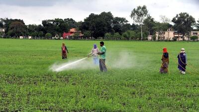 Maharashtra government aims to cover 300-400 soyabean, cotton farmer producer companies by the end of the plan that started in June. (Hindustan Times (PIC FOR REPRESENTATION)) Maharashtra government aims to cover 300-400 soyabean, cotton farmer producer companies by the end of the plan that started in June. (Hindustan Times (PIC FOR REPRESENTATION))