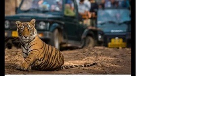 (Pic for representation)