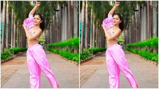 Styled by fashion stylist Ashna Makhijani Shah, Rubina wore her tresses into a clean ponytail as she posed for the outdoor photoshoot.(Instagram/@rubinadilaik)