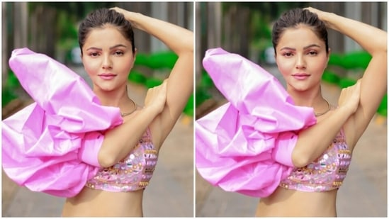 Rubina opted for a minimal makeup look to complement her attire. In pink eyeshadow, mascara-laden eyelashes, drawn eyebrows, contoured cheeks and a shade of pastel pink lipstick, Rubina rounded off the look.(Instagram/@rubinadilaik)