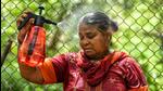 A woman tries to beat the heat on a hot summer day in New Delhi. (ANI Photo) A woman tries to beat the heat on a hot summer day in New Delhi. (ANI Photo)