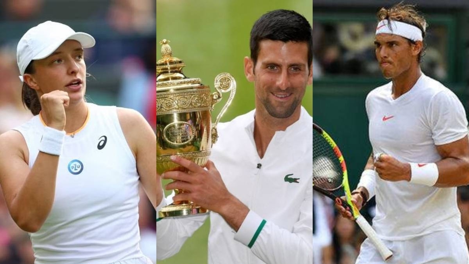 Wimbledon 2021: Schedule, Seedings, Draw, When And Where to Watch - All You  Need to Know