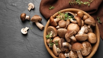 Mushroom extract supports clearing human papillomavirus (HPV) infections: Study Mushroom extract supports clearing human papillomavirus (HPV) infections: Study