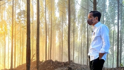 FILE PHOTO: Indonesian President Joko Widodo inspects an area that will be the site of the new capital city, during sunrise in Penajam Paser Utara regency, East Kalimantan province, Indonesia, March 15, 2022.&nbsp; (via REUTERS)