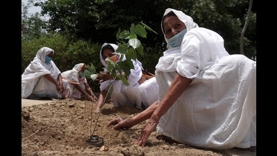 Widows planting saplings in an ashram in Vrindavan. (Sourced) Widows planting saplings in an ashram in Vrindavan. (Sourced)