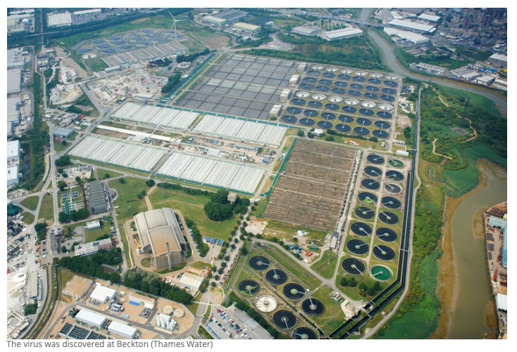 File photo of the Beckton Sewage Treatment Works where the Polio virus was found. (Twitter/@Carlyle1312)