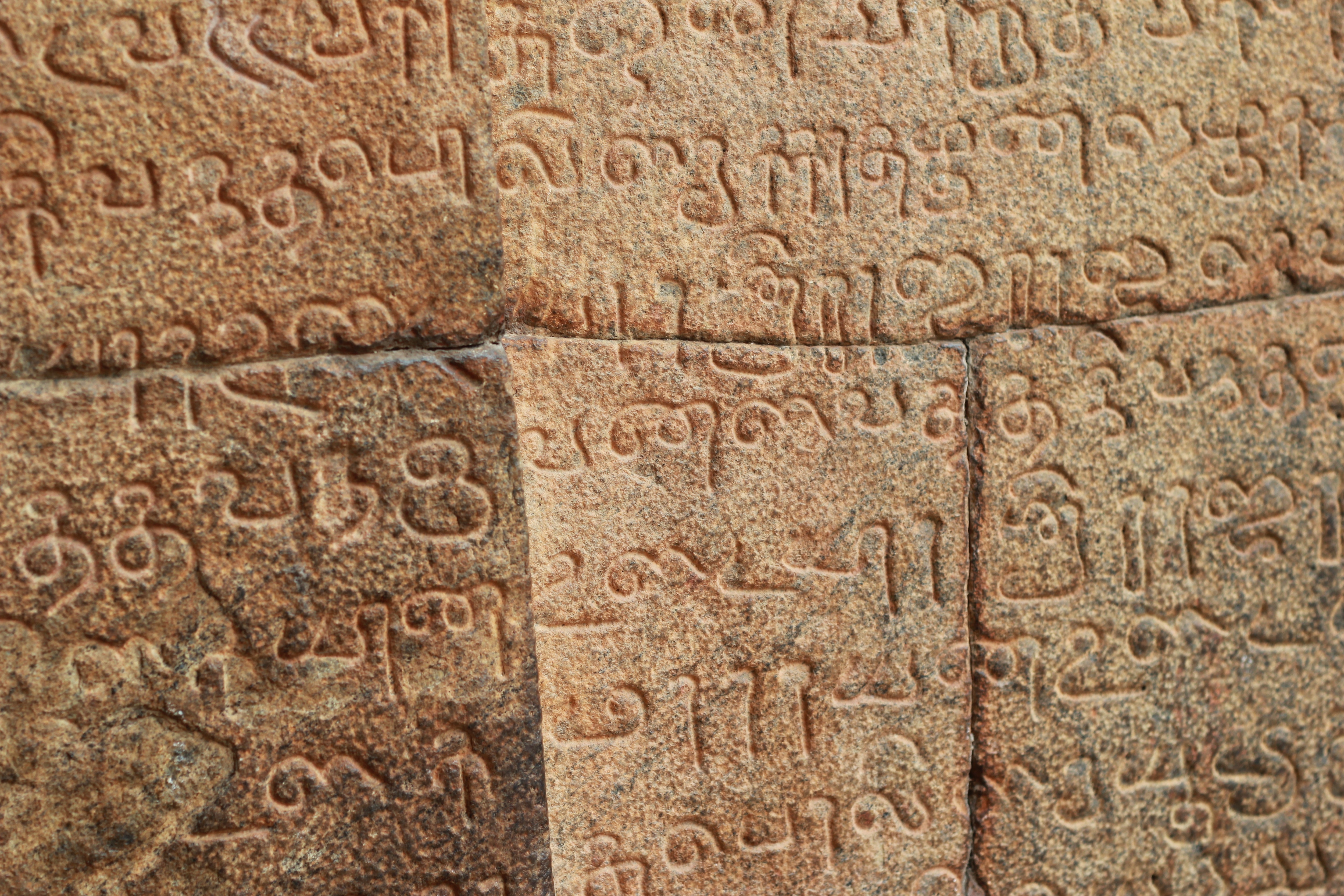 Indeed, medieval South Indians’ interest in producing elite literature in their own language, based on advanced linguistic and aesthetic ideas, was unparalleled in the subcontinent’s history.&nbsp;(Shutterstock)