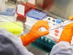 FILE PHOTO: An employee of the vaccine company Bavarian Nordic works in a laboratory of the company in Martinsried near Munich, Germany,&nbsp;