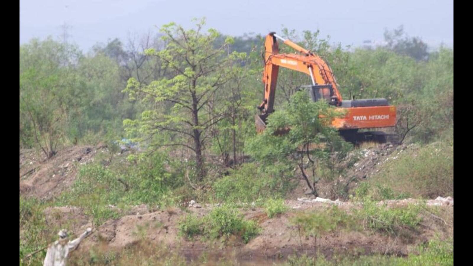 Mangrove cell to register case on illegal debris dumping in mangroves in Kharghar