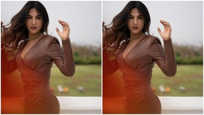 The leather dress featured full sleeves, a plunging neckline and gathered up details near to the waist. In a gold neck choker, golden earrings and a bracelet, Sonal further accessorised her look. (Instagram/@sonalchauhan)