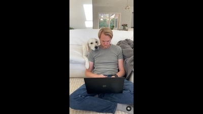 The image shows the Golden Retriever resting her chin on her human. (Instagram/@ladyandtheblues) The image shows the Golden Retriever resting her chin on her human. (Instagram/@ladyandtheblues)