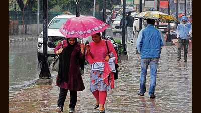 Now, the rains have again filled water bodies across Kashmir and paddy fields are filled with abundant water. Farmers said the showers were a gift from the god as it will help not only horticulture but also agriculture as it ended their irrigation issues. (HT File Photo) Now, the rains have again filled water bodies across Kashmir and paddy fields are filled with abundant water. Farmers said the showers were a gift from the god as it will help not only horticulture but also agriculture as it ended their irrigation issues. (HT File Photo)