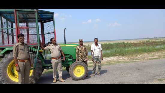Forest officials, on elephants, patrolling in Manjhra Purab forest area of Dudhwa buffer zone on Friday. (HT PHOTO)