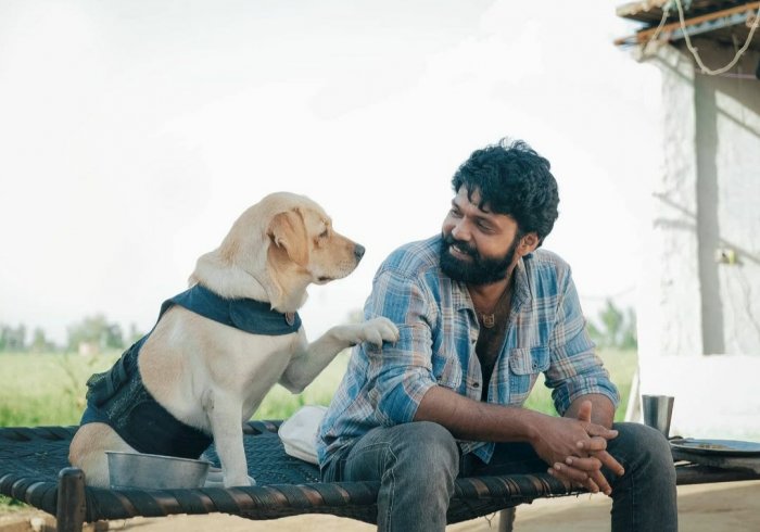 Starring Rakshit Shetty, 777 Charlie was released on June 10 this year. Starring Rakshit Shetty, 777 Charlie was released on June 10 this year.