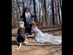 The image, taken from the video posted on Instagram, shows two dogs getting married. (Instagram/@heymynamesluna) The image, taken from the video posted on Instagram, shows two dogs getting married. (Instagram/@heymynamesluna)