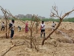 The rail body said it will comply with the findings of the forest department and will submit the fine amount soon.(Sourced) The rail body said it will comply with the findings of the forest department and will submit the fine amount soon.(Sourced)