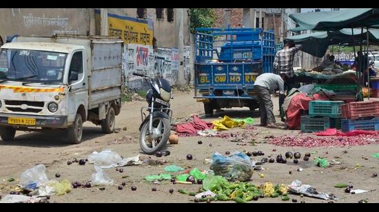 The state had banned plastic carry bags in April 2016, but they are still being used in every nook and corner of the city. (Harvinder Singh/HT) The state had banned plastic carry bags in April 2016, but they are still being used in every nook and corner of the city. (Harvinder Singh/HT)
