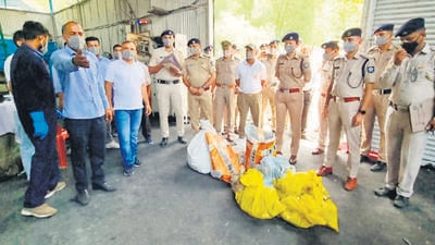 Tax and excise department commissioner Yunus Khan said hemp plantation on over 40 bigha land had been destroyed by the department over the last few days. (ANI Picture Service)