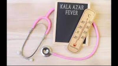 Kala-azar is characterised by irregular bouts of fever, weight loss, enlargement of the spleen and liver, and anaemia. Most cases occur in Brazil, East Africa and India: UNICEF. (FOR REPRESENTATION PURPOSE) Kala-azar is characterised by irregular bouts of fever, weight loss, enlargement of the spleen and liver, and anaemia. Most cases occur in Brazil, East Africa and India: UNICEF. (FOR REPRESENTATION PURPOSE)