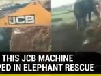 HOW THIS JCB MACHINE HELPED IN ELEPHANT RESCUE