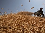 Egypt, one of world's biggest wheat importers, to buy 180K